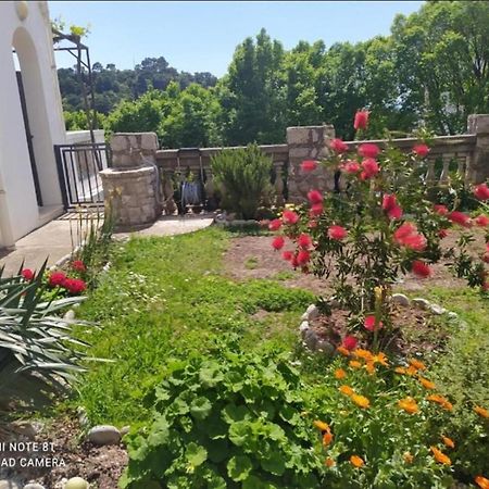 Apartmani Jovanovic Petrovac المظهر الخارجي الصورة
