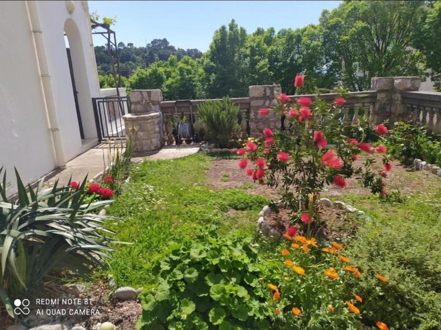 Apartmani Jovanovic Petrovac المظهر الخارجي الصورة