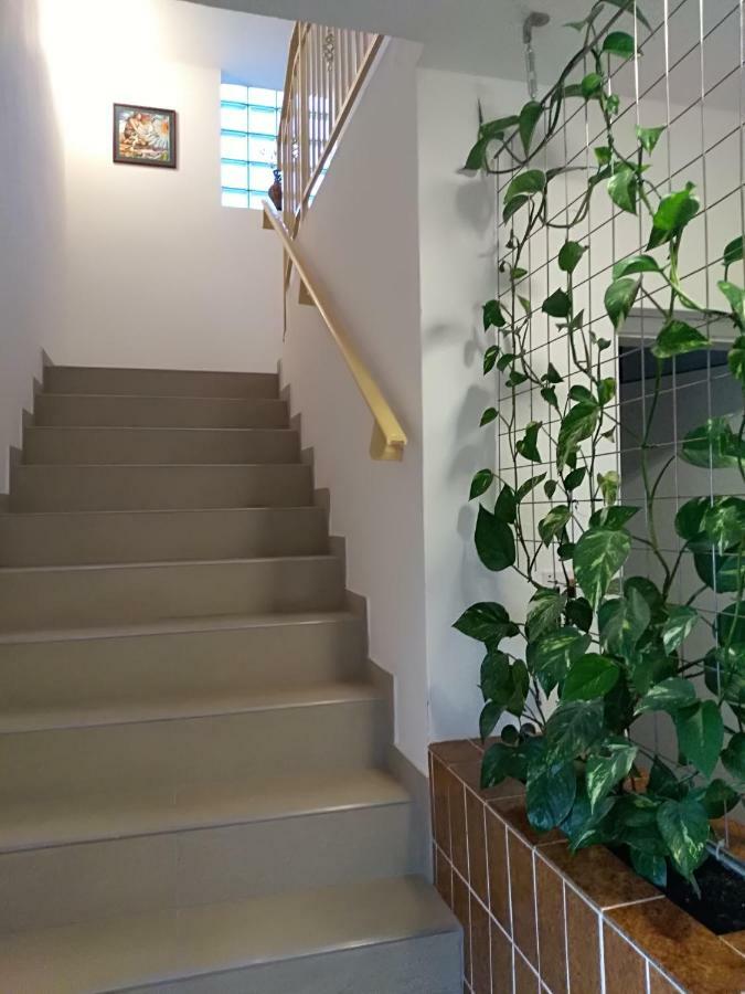 Apartmani Jovanovic Petrovac المظهر الخارجي الصورة