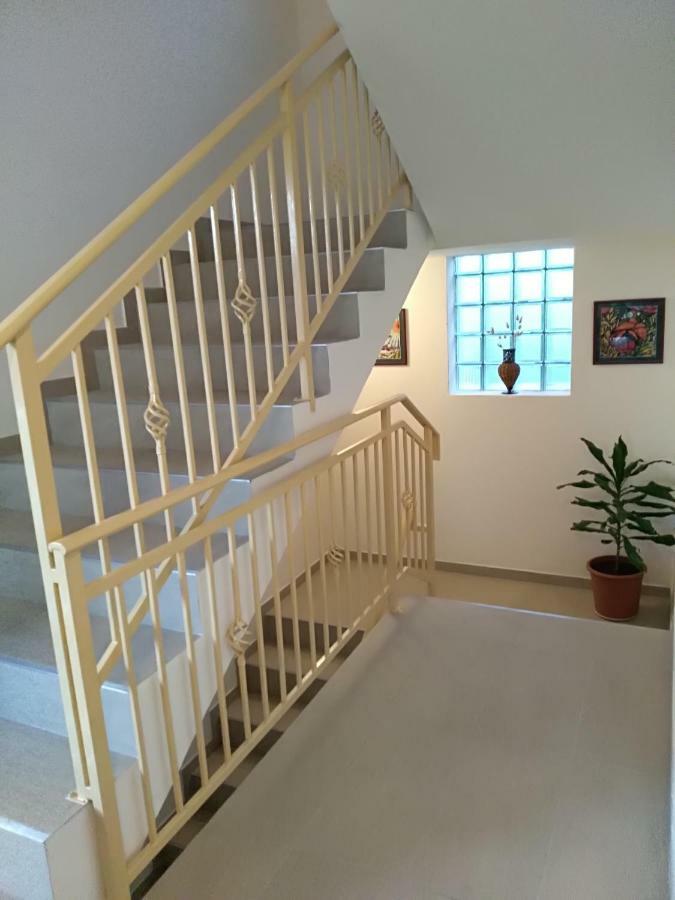 Apartmani Jovanovic Petrovac المظهر الخارجي الصورة
