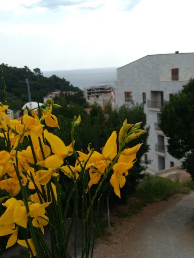 Apartmani Jovanovic Petrovac المظهر الخارجي الصورة
