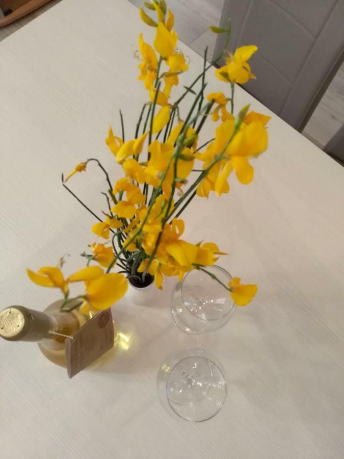 Apartmani Jovanovic Petrovac المظهر الخارجي الصورة
